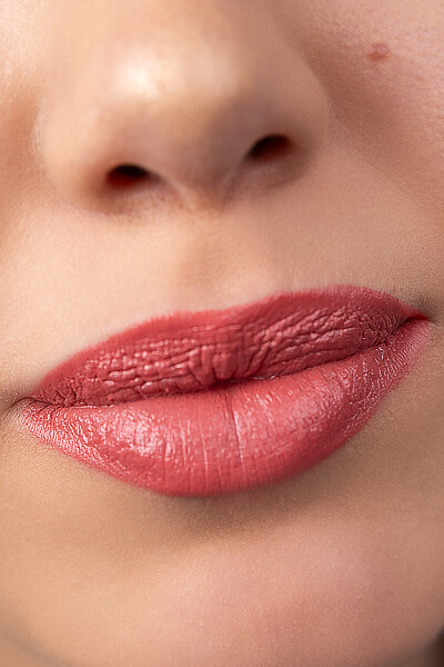 Pastel Nude Ruj 542 - Pastel (1)